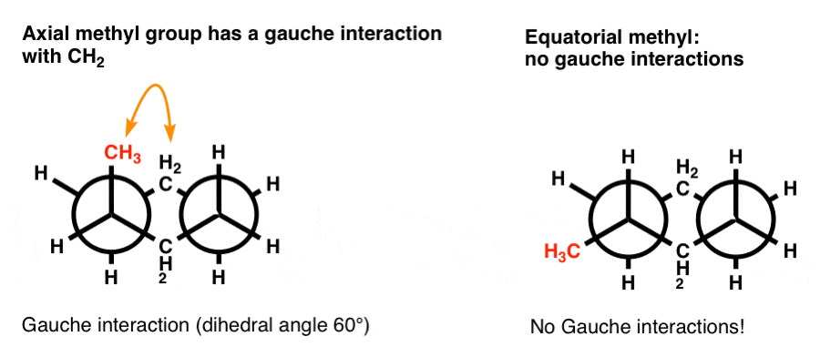 newman-projection-of-cyclohexane-chair-of-1-methylcyclohexane-showing-gauche-interaction-dihedral-angle-60-for-axial-methyl
