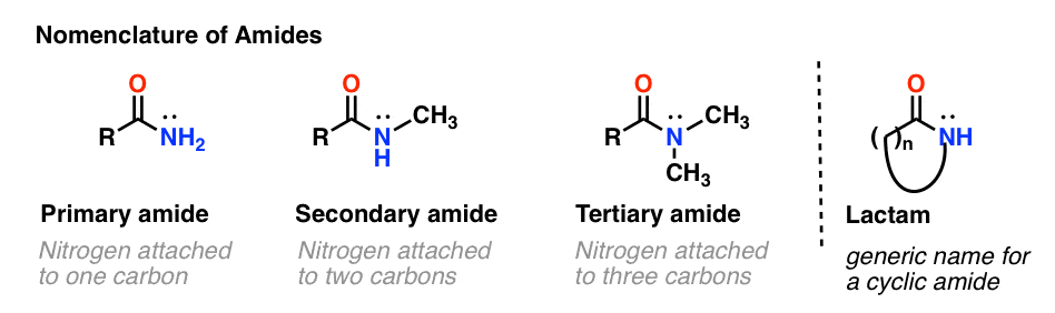 nomenclature des amides amide primaire secondaire tertiaire distingué par le nombre de carbones attachés - le lactame est un amide cyclique