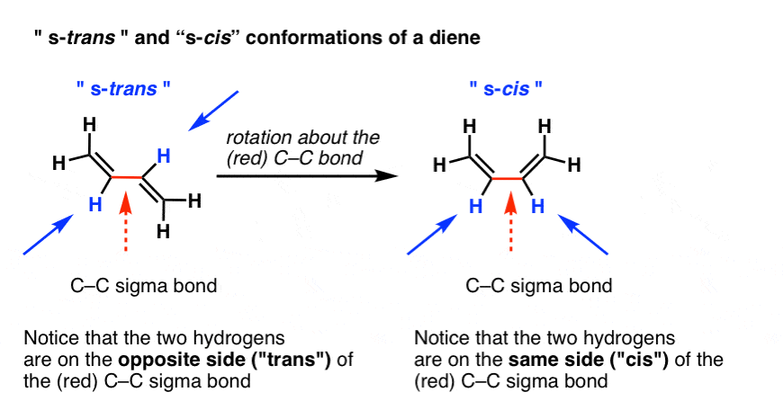 s cis and s trans feres to the orientation about a rotatable carbon carbon single bond d