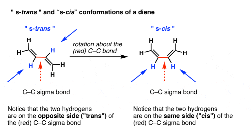 Ester Cis Trans