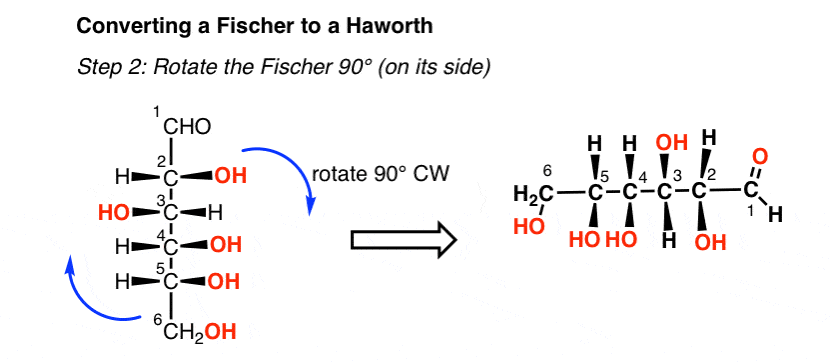 step-2-in-converting-fischer-to-haworth-is-to-rotate-fischer-90-degrees-clockwise