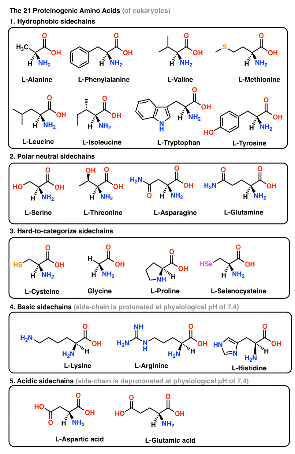 table of all 21 proteinogenic amino acids arranged by sidechains