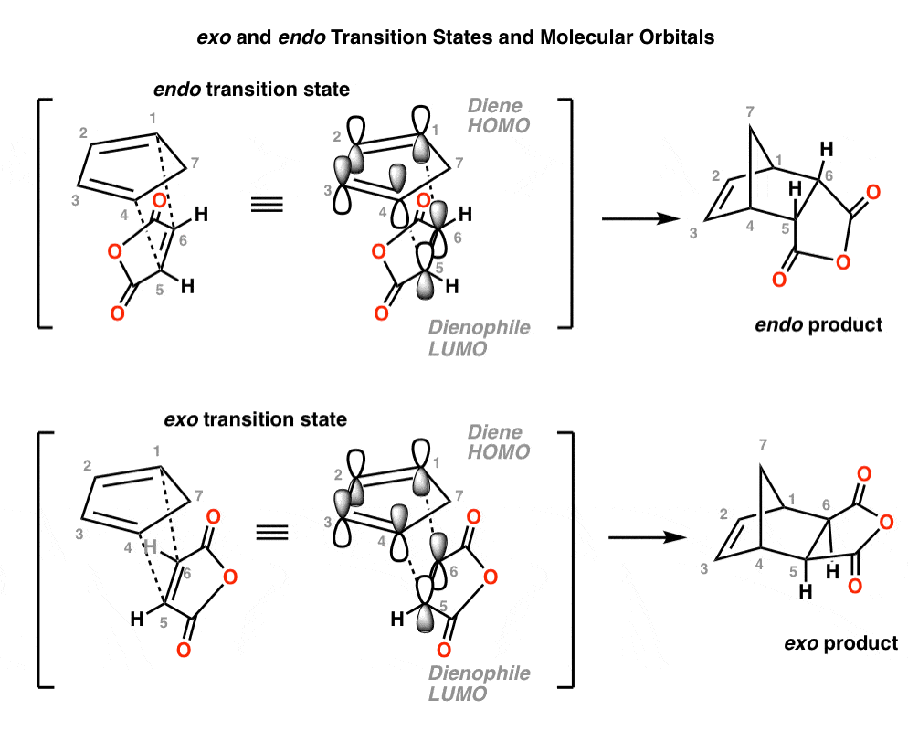 transition states of diels alder reaction between cyclopentadiene and maleic anhydride for exo and endo products
