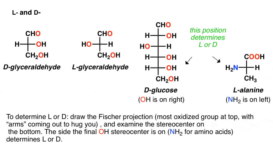 what-is-meaning-of-l-and-d-in-organic-chemistry.