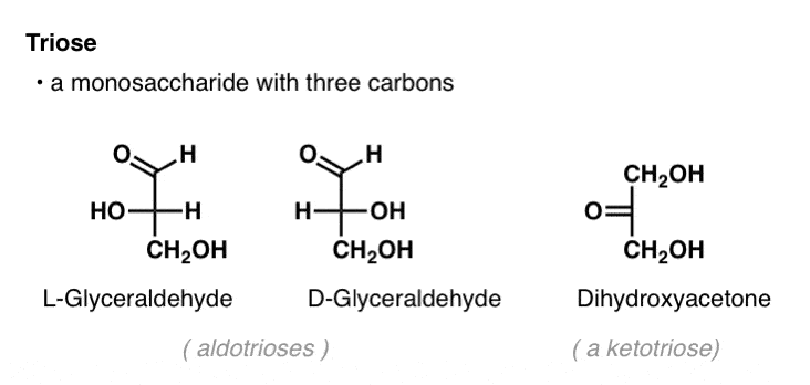 -definition-of-a-triose-is-that-it-is-a-monosaccharide-with-three-carbons