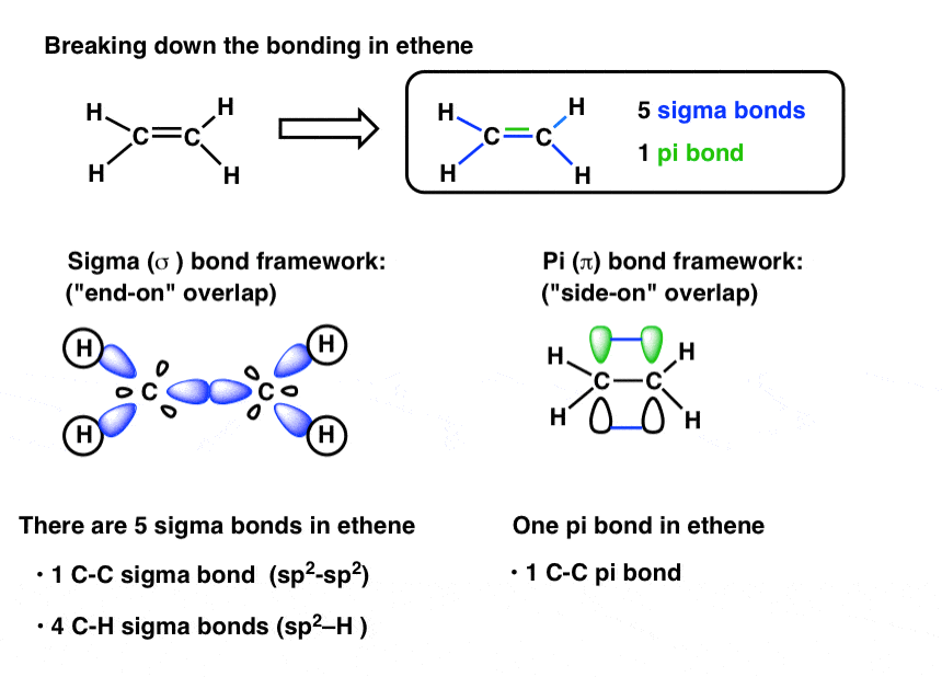 all bonds in ethene sigma bond framework with end on overlap pi bond framework with side on overlap 5 sigma bonds 1 pi bond