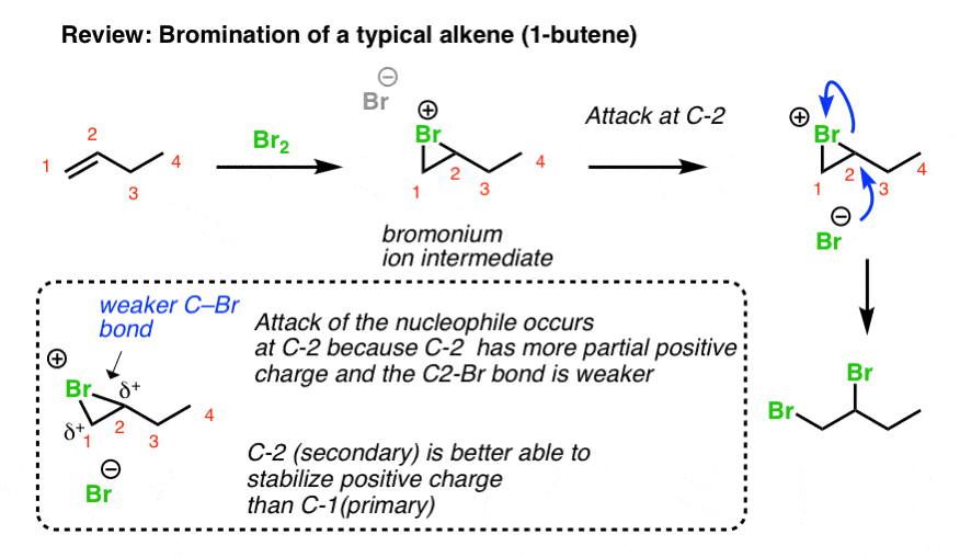 bromination of typical alkene goes through bromonium ion intermediate followed by attack of br anion at more substituted carobcation