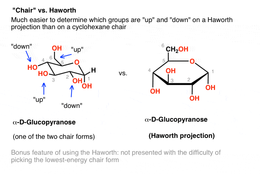 JEE 2022 : Chemistry-Glucose and Fructose in the Chair Structure