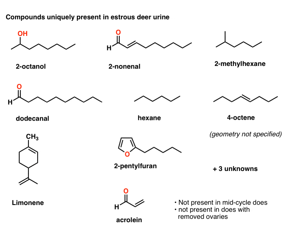 The Organic Chemistry of Doe Urine? – Master Organic Chemistry