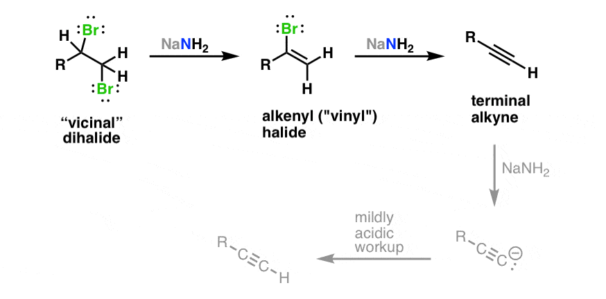 elimination of vicinal dihalides with nanh2 gives alkenyl halides further elimination gives alkynes 3 equiv required alkyne acidic