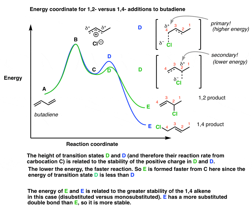 Kinetic and Thermodynamic Control in the Diels-Alder Reaction