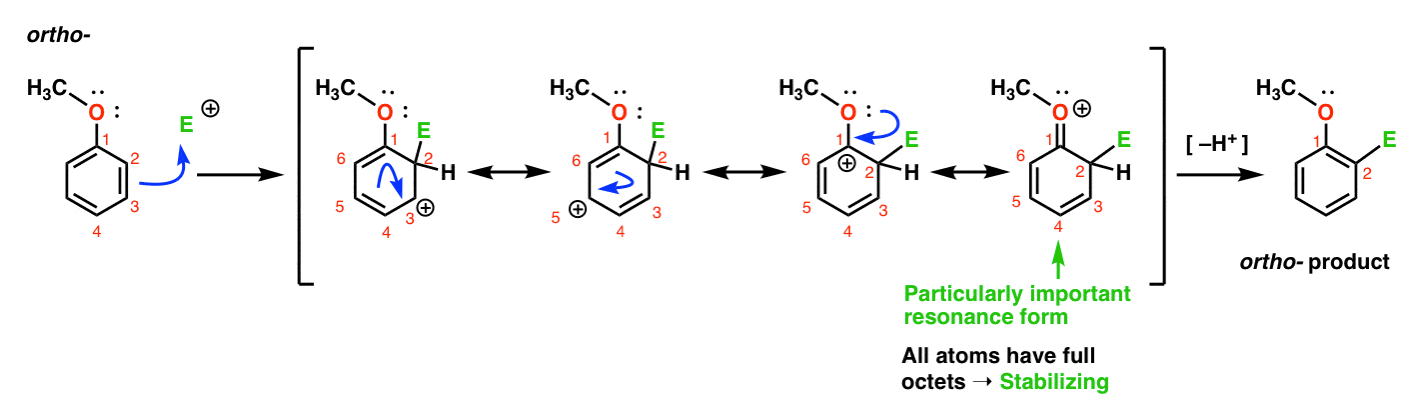 explanation of why och3 is an ortho para director with key resonance form with full octets