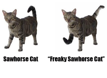 freaky-sawhorse-cat-has-a-foot-interchanged-with-a-tail-cat-line-diagram