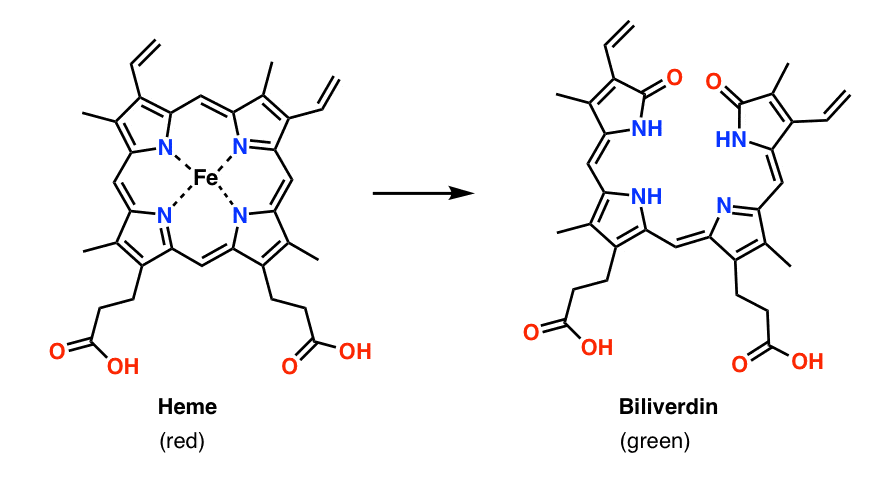 heme-to-biliverdin