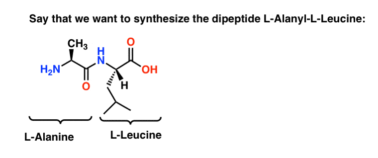 dipeptide molecule sketch