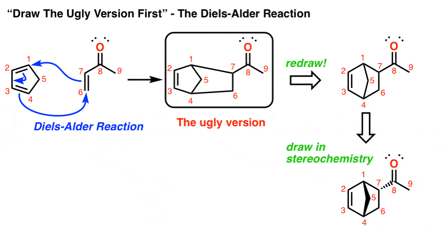 in-the-diels-alder-reaction-when-drawing-the-product-it-can-be-helpful-to-draw-the-ugly-version-first