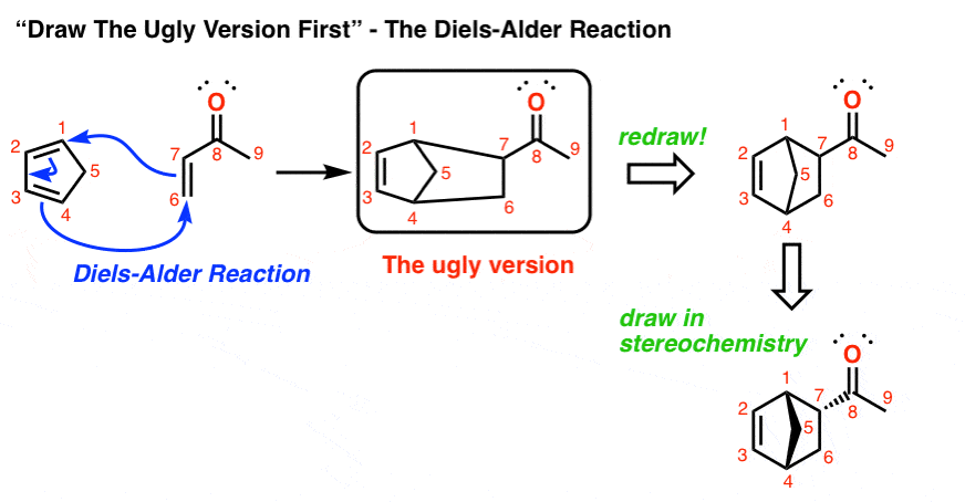 in-the-diels-alder-reaction-when-drawing-the-product-it-con-be-e-be-e-bable-be-draw-the-gly-version-first