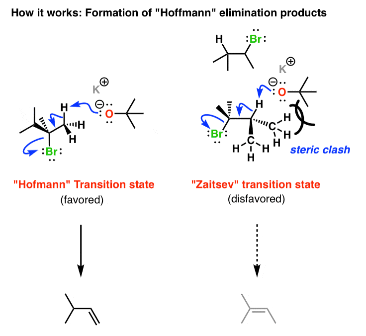 mechanism-for-elimination-of-alkyl-halides-to-give-less-substituted-alkenes
