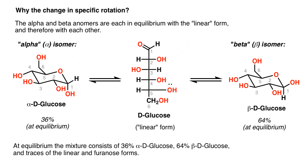 Mutarotation Of Glucose And Other Sugars Master Organic Chemistry