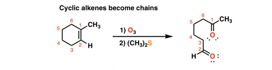 ozonolysis of cyclic alkenes gives chains