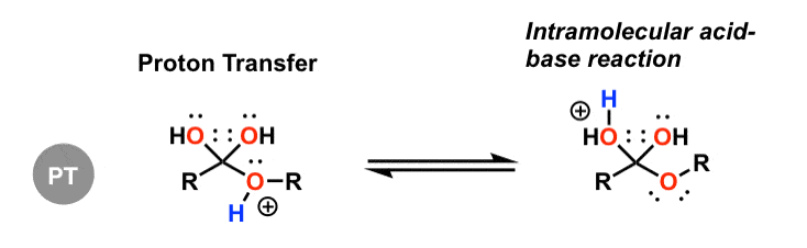 proton transfer third step of padped mechanism