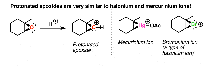 اپوکسیدهای پروتونه شده بسیار شبیه به یون های هالونیوم مرکورینیوم رفتاری مشابه مسیر حلقه 3 عضوی دارند.