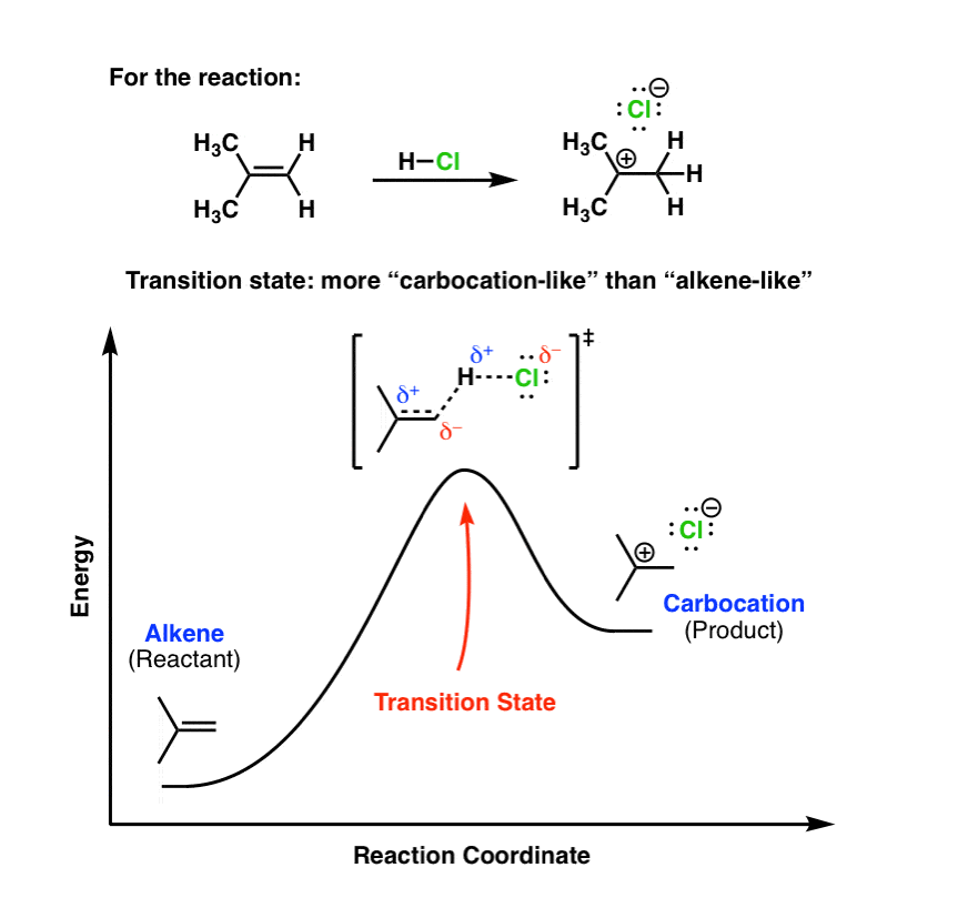 reaction-coordinate-drawing-for-first-step-of-addition-to-alkenes-formation-of-carbocation-shows-late-transition-state