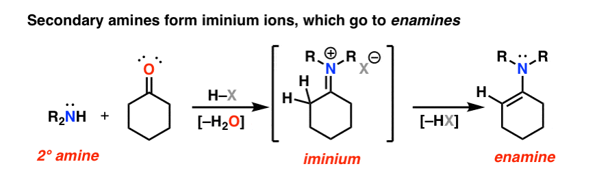 secondary amines and ketones form iminium ions which isomerize to enamines