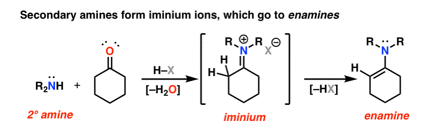 Imines And Enamines