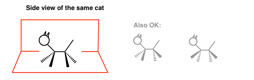 side-drawing-of-a-cat-line-diagram-wedges-and-dashes