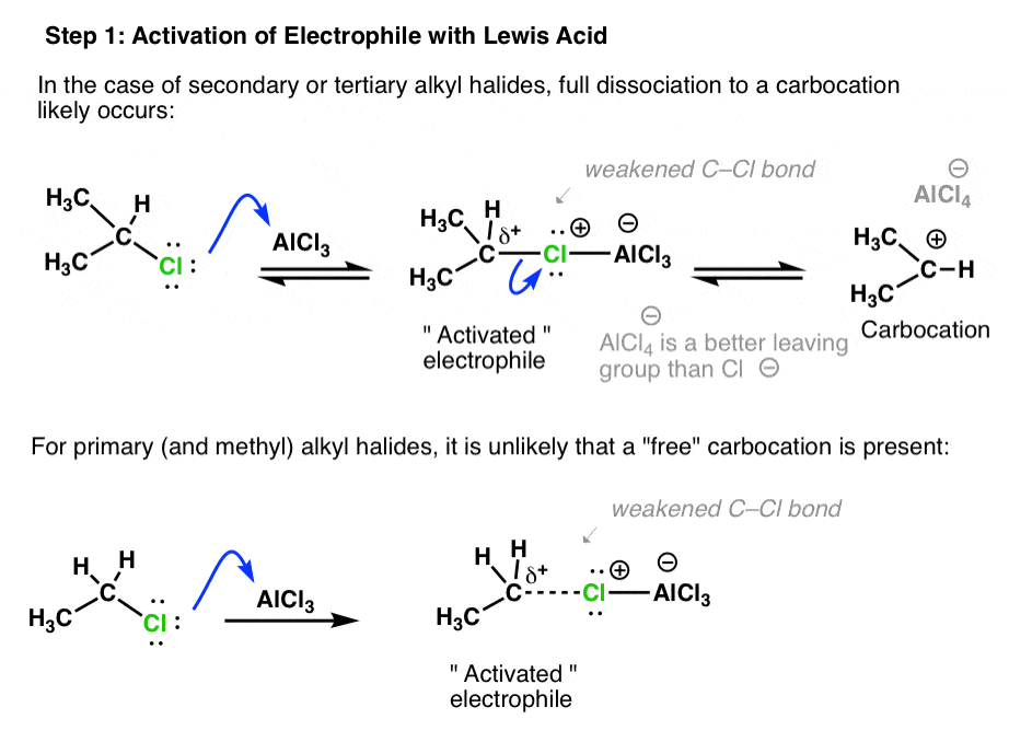 step 1 of friedel crafts alkylation mechanism activation of electrophile with lewis acid