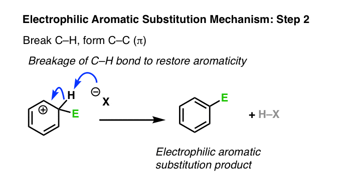 step 2 of electrophilic aromatic substitution is deprotonation of carbon adjacent to carbocation restoring aromaticity