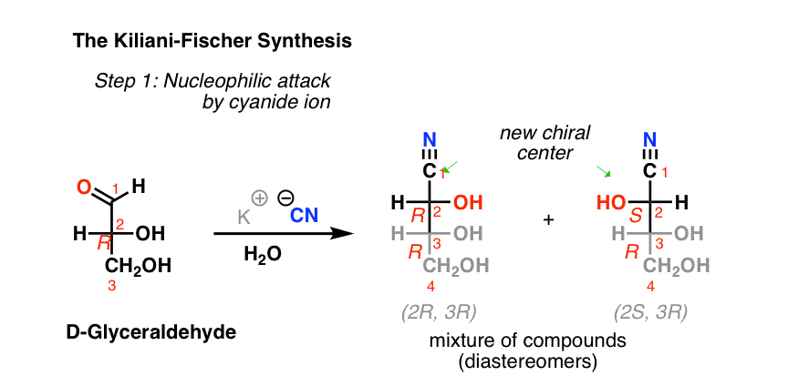 the-kiliani-fischer-synthesis-step-1-extends-a-sugar-by-one-carbon-cyanohydrin