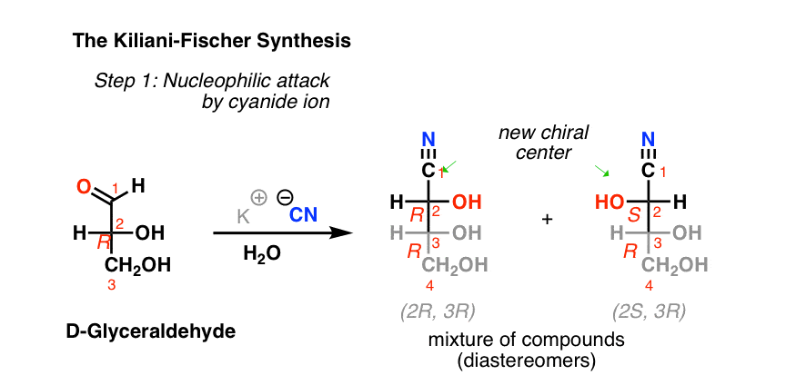 the-kiliani-fischer-synthesis-step-1-extends-sogar-by-one-carbon-cyanohydrin