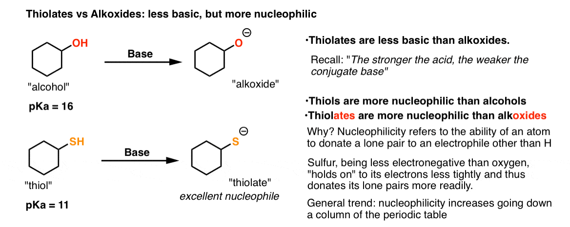 thiols versus alkoxides thiols are less basic but more nucleophilic they react more rapidly with electrophiles nucleophilicity increases going down the periodic table
