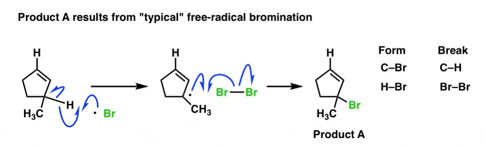 typical-reaction-product-from-allylic-bromination-of-3-methylcyclopentene