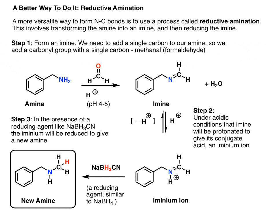 what is reductive amination - shows formation of imine from amine and then reduction to give n methyl amine