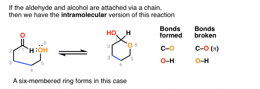 alcohols-and-aldehydes-intramolecular-reaction-gives-cyclic-hemiacetal