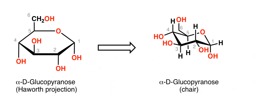 D Galactose Chair