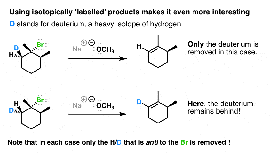 deuterium labelling in e2 elimination reaction shows only deuterium anti to leaving group is removed
