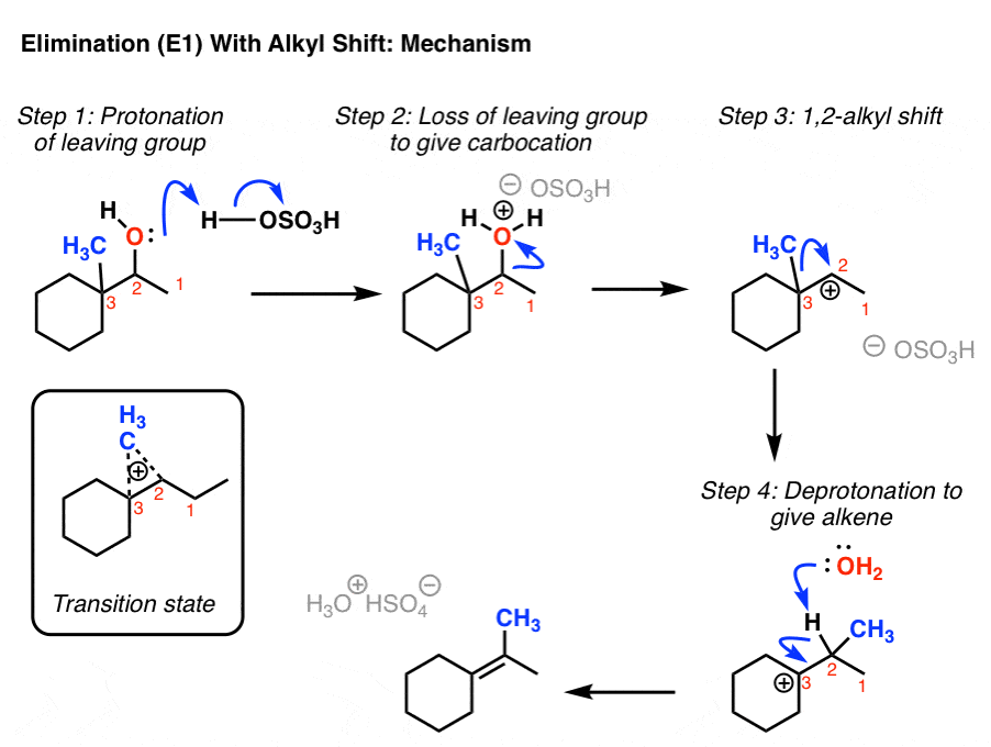 elimination e1 with alkyl shift migrating methyl group followed by deprotonation