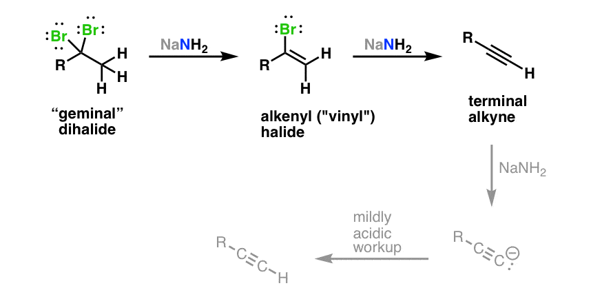 elimination of geminal dihalide to give alkyne with nanh2 gives alkyne via alkenyl halide 3 equiv required if terminal alkyne formed