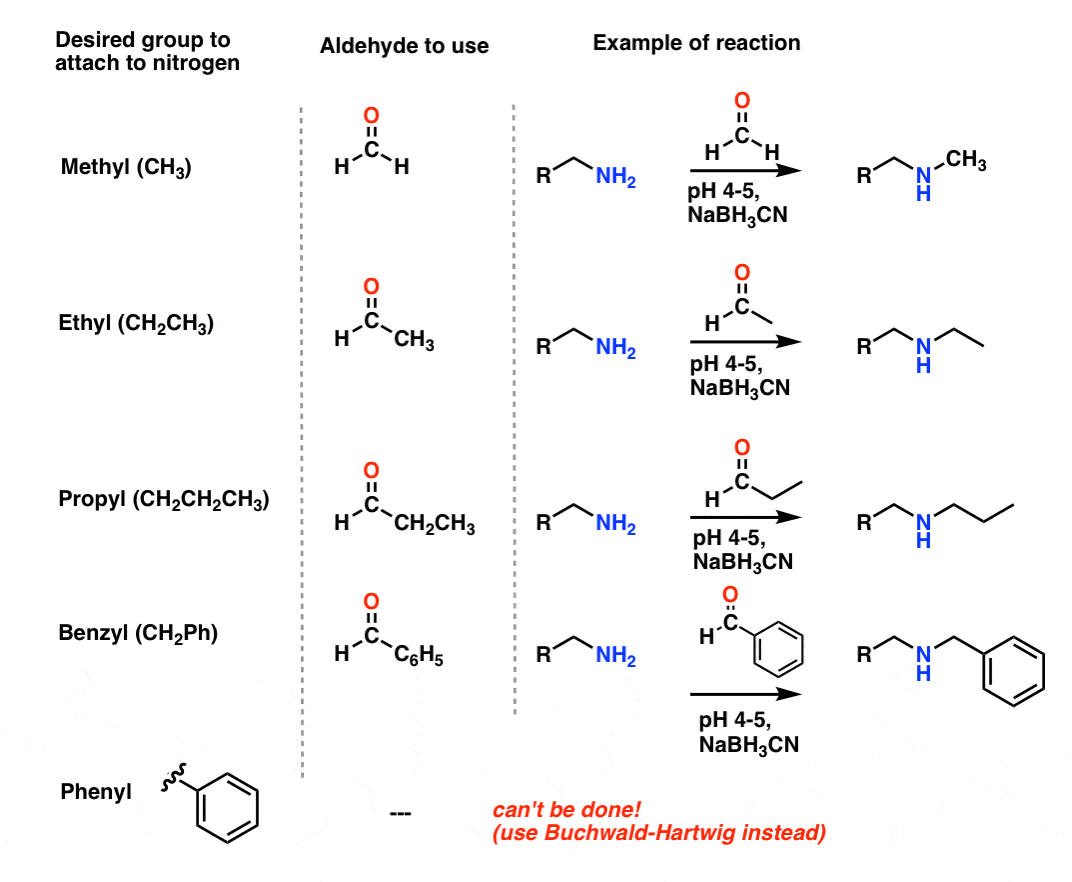 examples of reductive amination in synsethis of n methyl, n ethyl and more