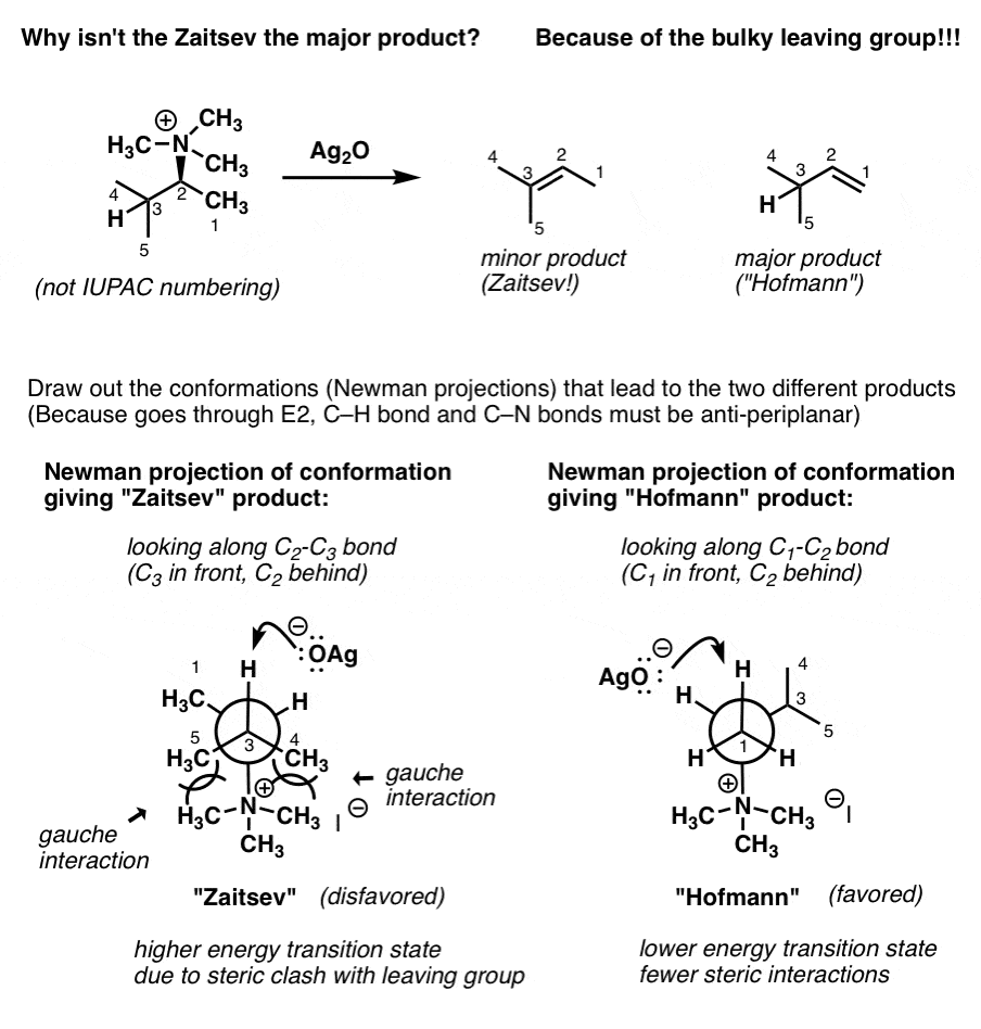 explanation for hofmann elimination why it gives least substituted alkene