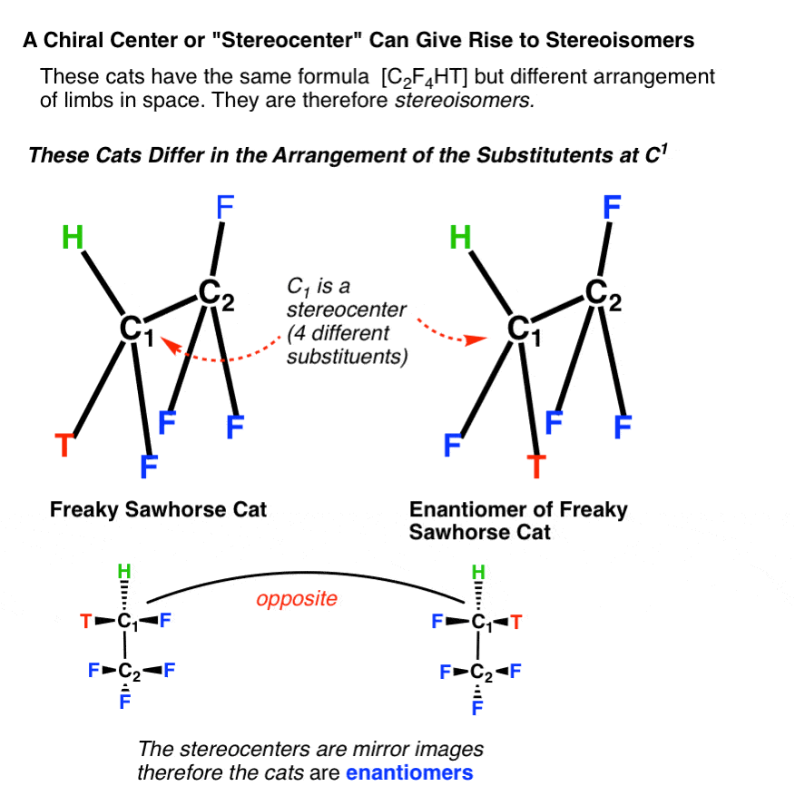 freaky-sawhorse-cat-and-its-enantiomer-differ-in-arrangement-of-substituents-at-c-1-