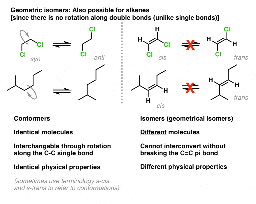 geometric isomers in alkenes possible because no rotation about double bond cis and trans