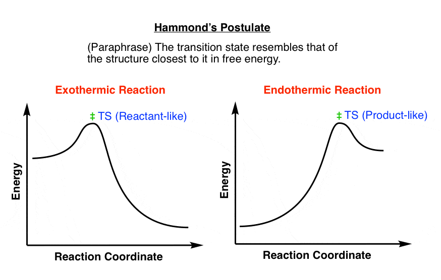hammonds-postulate-is-that-the-transition-state-resembles-most-closely-the-species-that-is-closest-to-it-in-energy