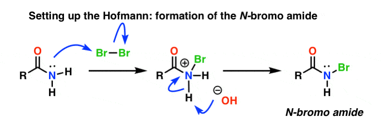 hofmann rearrangement formation of the n bromo amide