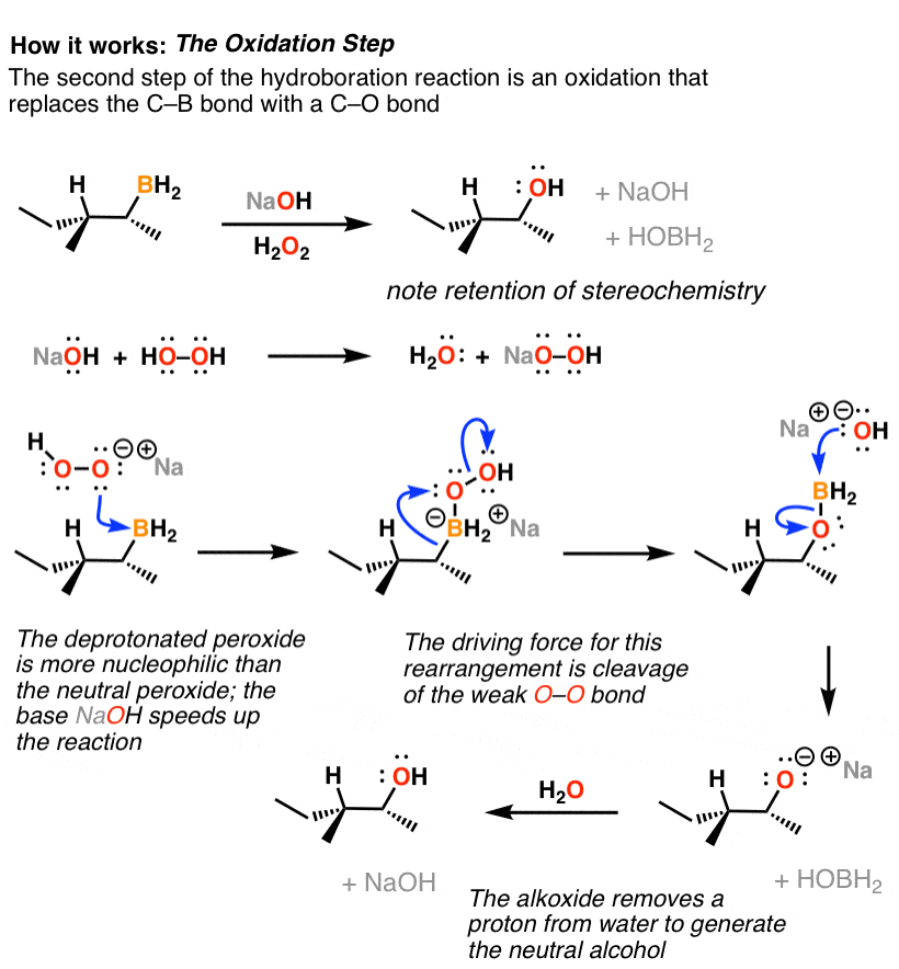 mechanism-for-hydroboration-of-alkenes-with-bh3-oxidation-step.
