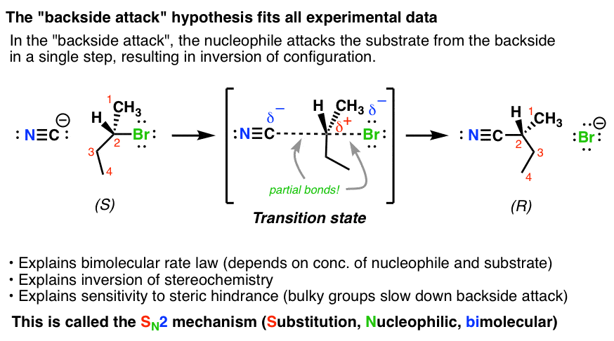 mechanism for sn2 reaction proceeds through a concerted backside attack